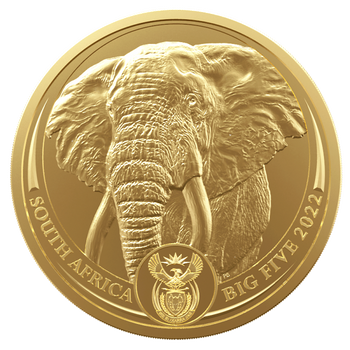 Moneta Wielka Piątka Afryki Słoń 31,1 g Uncja Złota